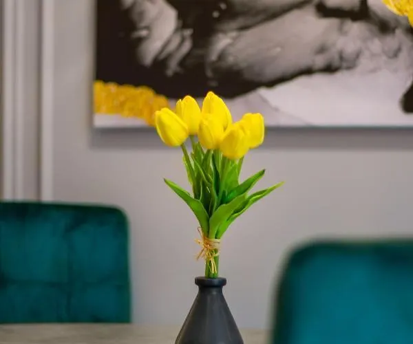 Royal 2 On Shevchenka 38 Str Apartamento